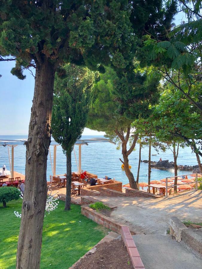 Queen Vasilika Hotel Dhermi Luaran gambar